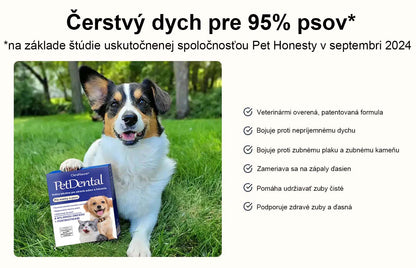 [Oficiálny obchod] CleraNaure® Ústny roztok na starostlivosť o zuby a trávenie zvierat – Osviežuje dych, odstraňuje zubný kameň, podporuje regeneráciu ďasien a stabilizuje zuby (pre mačky a psov) – Ušetrite 80 % ešte dnes!